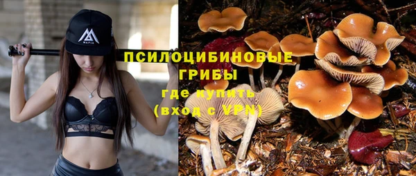 метадон Зеленокумск
