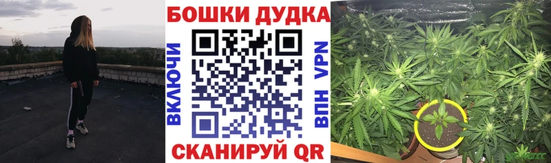 Купить закладки  Оленегорск  Бошки марихуана Amnesia 